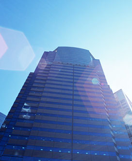 北京好色先生视频网站生物科技有限公司