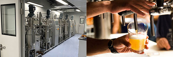 好色先生TV版的应用