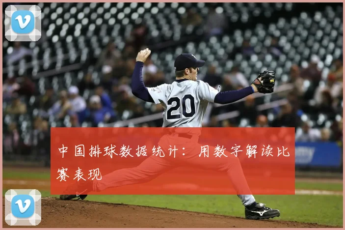 中国排球数据统计：用数字解读比赛表现